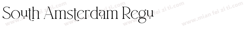 South Amsterdam Regu字体转换